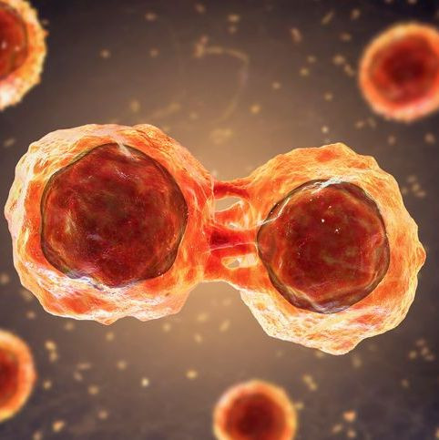 Understanding Congenital Anomalies